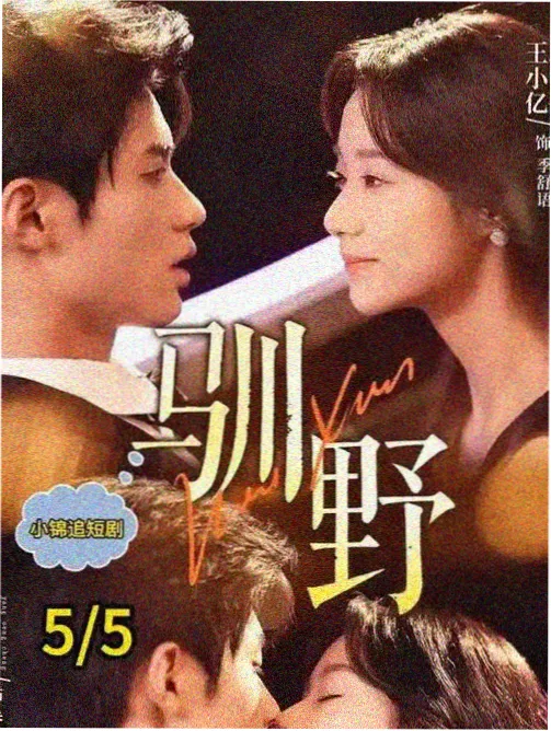 半勺春天 家庭剧活页封面 日韩电视剧免费观看高清完整版中文剧集条目